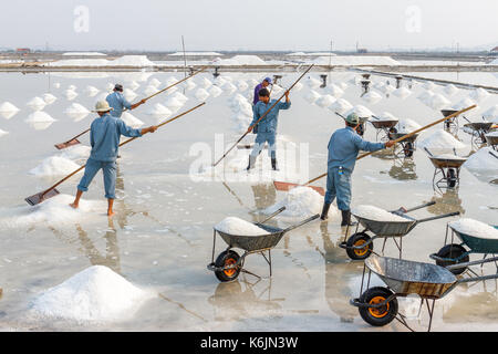 Nha Trang, vietnam - 4/12/2016: i lavoratori fanno mucchi di sale all'hon khoi campi di sale in Nha Trang, Vietnam. Foto Stock