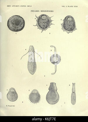 British Antarctic Expedition, 1907 9, sotto il comando di Sir E.H. Shackleton, c.v.o BHL19071874 Foto Stock