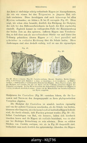 Die geologischen grundlagen der abstammungslehre (pagina 107) BHL40500662 Foto Stock