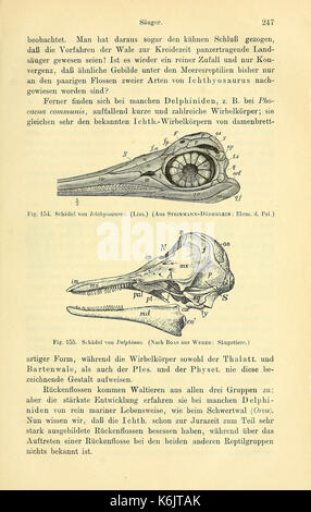 Die geologischen grundlagen der abstammungslehre (pagina 247) BHL40500802 Foto Stock