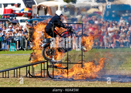 L'esercito britannico, Royal segnali Display moto Team, i caschi bianco Foto Stock