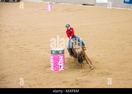 Cavallo Sport, onorevoli Finali Nazionali Barrel racing presso l'Australian cavalli e bestiame Eventi Centro (AELEC) Indoor Arena,Tamworth NSW Australia,Se Foto Stock