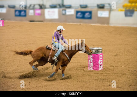 Cavallo Sport, onorevoli Finali Nazionali Barrel racing presso l'Australian cavalli e bestiame Eventi Centro (AELEC) Indoor Arena,Tamworth NSW Australia,Se Foto Stock