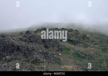 Il blu e il verde delle foglie Foto Stock