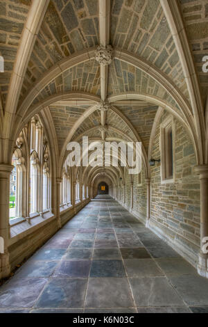 Università di Princeton corridoio III - vista di un perfetto esempio della collegiata architettura gotica di stile. Università di Princeton è un privato Ivy League Foto Stock
