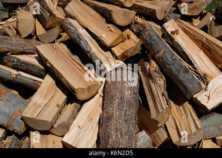 Gran mucchio di tagliare e spaccare la legna di essiccazione al sole in speculatore, New York, NY USA Foto Stock
