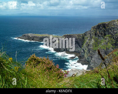 Fogher scogliera isola Valentia, nella contea di Kerry, Irlanda Foto Stock