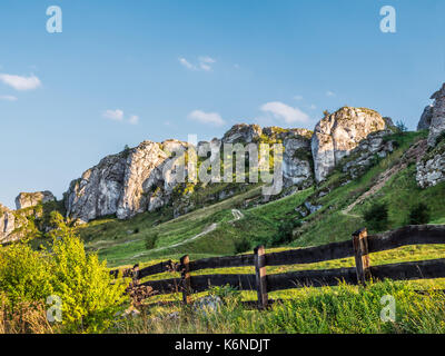 Lime rock formazione valore erratico in prossimità di Olsztyn rovine del castello nei pressi di Czestochowa, Polonia Foto Stock