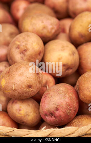 Appena scavato patate rosse al mercato del contadino a Easton, Pennsylvania. Il mercato degli agricoltori a Easton, in Pennsylvania, è il più antico mercato all'aperto in t Foto Stock