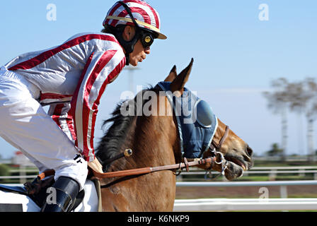 Jockey en corso parlant ˆ figlio cheval Foto Stock