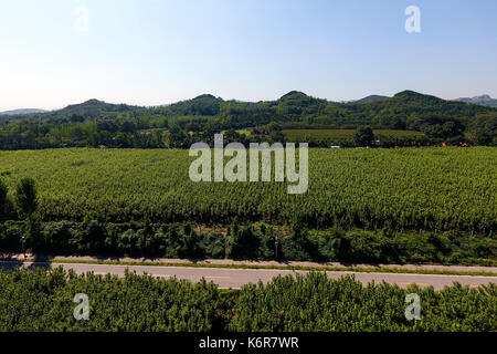 Zibo. Xiii Sep, 2017. Foto aeree prese su sept. 13, 2017 mostra una vista di linzi distretto, zibo città della Cina dell'est della provincia di Shandong. linzi utilizzato per essere la capitale dello stato di qi (479 ad-502 ad). Credito: guo xulei/xinhua/alamy live news Foto Stock