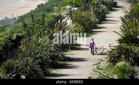 Brighton, Regno Unito. Xiii Sep, 2017. uk meteo. una donna cammina il suo cane lungo Brighton Seafront vicino a Brighton Marina in una giornata di vento sulla costa sud come tempesta aileen soffia attraverso gran bretagna oggi credito: simon dack/alamy live news Foto Stock