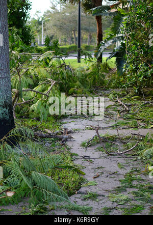 West Palm Beach, FL - 11 settembre 2017: conseguenze in attesa di cleanup di uragano irma in un piccolo quartiere nel sud della Florida che mostra molti alberi abbattuti e rami ma nessun danno strutturale Foto Stock