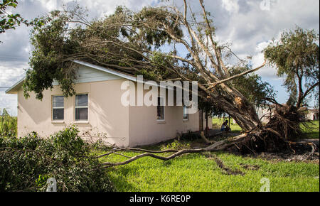 Belle Glade, Florida, Stati Uniti d'America. Xiii Sep, 2017. Emerson Hiels, Belle Glade, siede sul portico sul suo home su Bethune Street in Belle Glade Camp in Belle Glade, Florida il 13 settembre 2017. Hiels e la sua famiglia evacuata a Ocala per uragano Irma. Sono tornati martedì per trovare un albero sulla parte superiore della loro casa in affitto e la perdita del tetto. Credito: Allen Eyestone/Palm Beach post/ZUMA filo/Alamy Live News Foto Stock