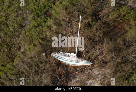 Una solitaria barca vela è arenarsi tra alberi mangled dopo il passaggio dell uragano irma settembre 12, 2017 in chiave cudjoe, Florida. imra fatto approdo nelle isole con venti di 130 mph causando la distruzione generalizzata in tutta la Florida keys. Foto Stock