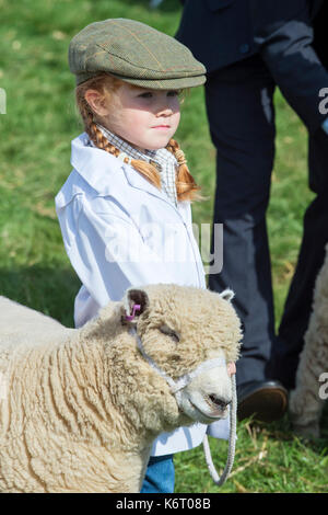 Giovane ragazza che mostra un Southdown lamb / pecore a Moreton in Marsh paese mostrano, Cotswolds, Gloucestershire, Regno Unito Foto Stock