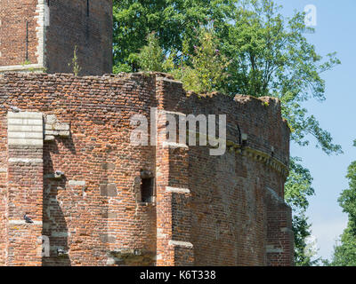 Una delle pareti laterali di un castello in rovina in Belgio. Foto Stock