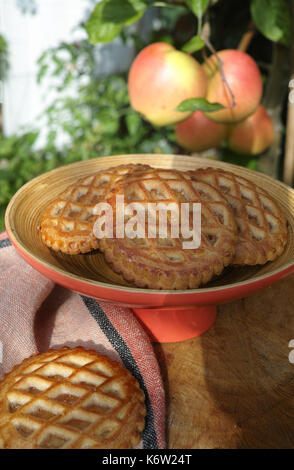 Olandese tradizionale autunno riempito di apple server i cookie in giardino sotto il melo con grandi mele mature, giornata di sole Foto Stock