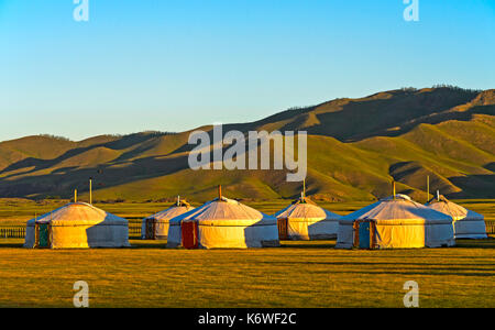 Yurta, tourist camp nella luce del mattino, orchon valley, Mongolia Foto Stock