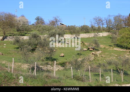 Toscana bella vista del mugello Foto Stock