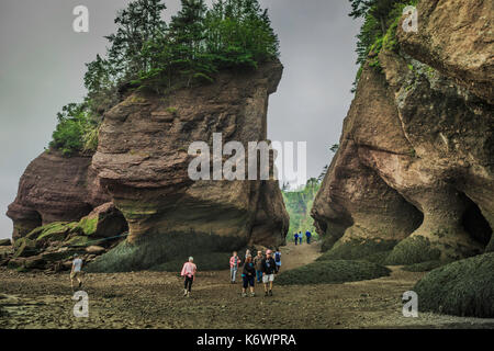 Insolite formazioni di roccia da erosione di scogliere a hopewell rocks, New Brunswick, Canada Foto Stock