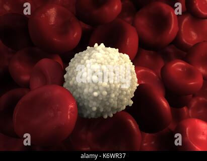 Singoli leucociti granulare isolati su con le cellule rosse del sangue in primo piano e di sfondo artistico. 3D rendering per medico / uso scientifico. Foto Stock