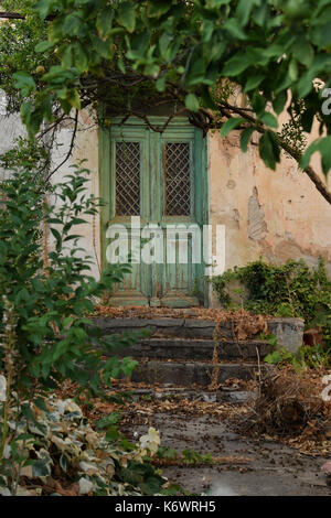 Vecchia casa con vintage porta verde e piante sovradimensionate. Foto Stock