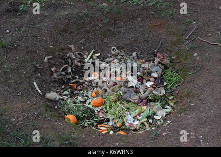 Il compost foro di massa piena di organico biodegradabile dei rifiuti verdi. pit il compostaggio. Foto Stock