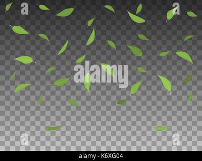 Illustrazione Vettoriale impostare albero verde le foglie che cadono Illustrazione Vettoriale