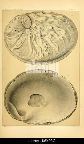 Undicesima relazione annuale della United States Geological e indagine geografica dei territori BHL40376889 Foto Stock