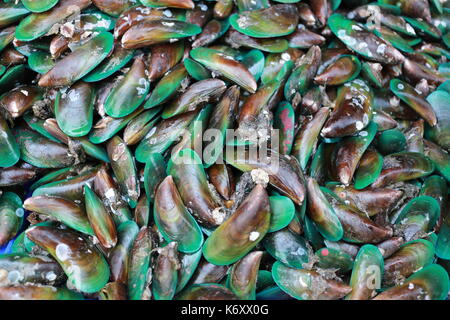 Pila di cozze fresche in thai seafood mercato. Foto Stock