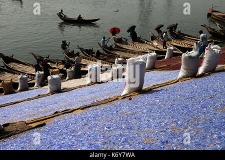 Essiccamento riciclato plastica trinciato materie prime sulla banca del fiume Buriganga. Questi chip verrà utilizzata successivamente per la produzione di vari prodotti in plastica Foto Stock