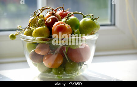 Ciotola di vetro di pomodori verde e rosso e la maturazione in una finestra fotografia scattata da simon dack Foto Stock