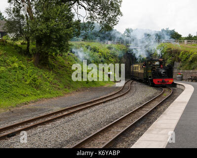 Treno a vapore del 1213, Ponte del Diavolo stazione ferroviaria, Pontarfynach, Aberystwyth, Wales, Regno Unito. Foto Stock