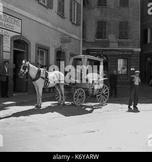 Degli anni Cinquanta, foto storiche mostra un pony e trappola di attesa per i clienti in una piccola piazza in ciottoli di Gibilterra, con Bassadone & Co, un fornaio shop in background. Foto Stock