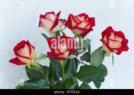 Un bouquet di rose in fiore Foto Stock