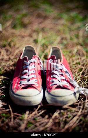 Red Converse All Star utilizzato Foto Stock