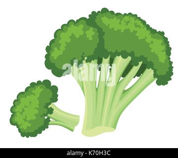 Vettore Brillante collezione di broccoli colorati. fresh cartoon vegetali diversi isolati su sfondo bianco utilizzato per magazine libro poster menu Carta Illustrazione Vettoriale