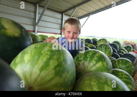 I bambini amano i cocomeri! Foto Stock