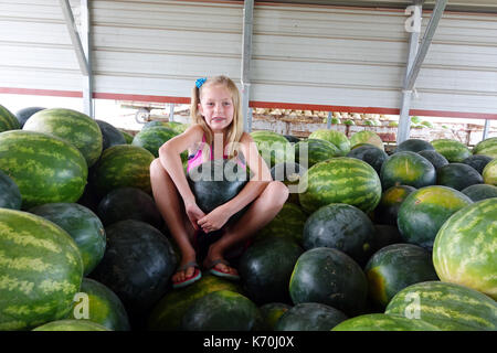 I bambini amano i cocomeri! Foto Stock