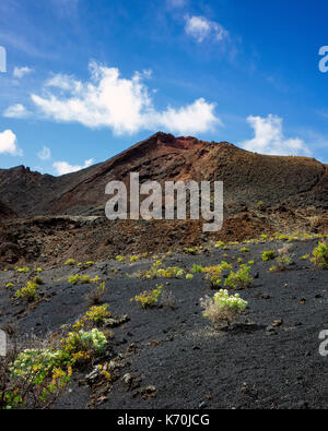 Los Volcanes de Teneguía, Fuencaliente, La Palma. Una vista del paesaggio arido intorno al vulcano guardando verso uno dei picchi. Molto poca vegetazione, come brevirame echium, è in grado di crescere in condizioni difficili di questo ambiente rendendolo un molto sparsa paesaggio. Si tratta di una giornata soleggiata con qualche veloce movimento di nuvole in contrasto con il blu del cielo. Foto Stock