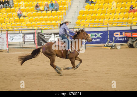 Cavallo Sport, onorevoli Finali Nazionali Corsa della botte presso l'Australian cavalli e bestiame Eventi Centro (AELEC) Indoor Arena,Tamworth NSW Australia,sett Foto Stock