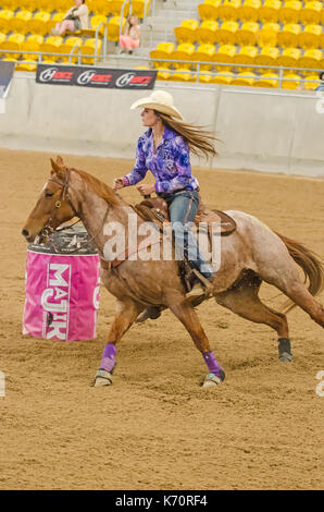 Cavallo sport, onorevoli finali nazionali Corsa della botte presso l'Australian cavalli e bestiame eventi centro (aelec) indoor arena,tamworth nsw australia,sett Foto Stock