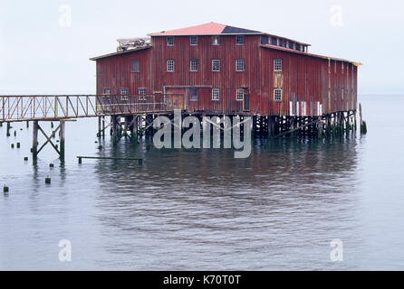 Unione pescatore cooperativa Net Loft, Astoria, Oregon Foto Stock