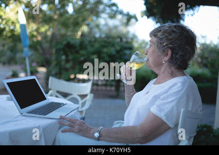 Senior donna utilizzando computer portatile mentre avente un bicchiere di vino in giardino Foto Stock