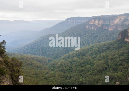 Jamison Valley, da Princes Lookout, Wentworth Falls, Blue Mountains, NSW, Australia Foto Stock