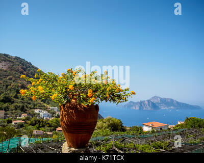 Vista verso Capri dalla città di Termini sulla penisola sorrentina Foto Stock