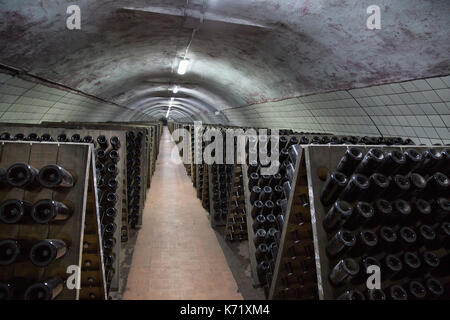 Vino spumante bottiglie in vetro fermentare in cantina Foto Stock