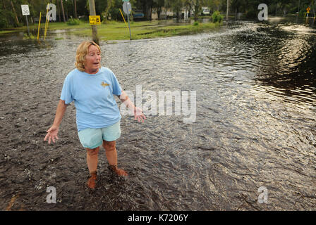 Elfers, Stati Uniti. Xiii Sep, 2017. 13 settembre 2017- elfers, Florida, Stati Uniti - debbie jared gesti mentre in piedi in una strada che ha allagato vicino alla sua casa con acqua dal fiume anclote in elfers, Florida il 13 settembre 2017. Il fiume è salito a quattro piedi sopra alluvione in fase dopo il passaggio dell uragano irma. Credito: Paul Hennessy/alamy live news Foto Stock