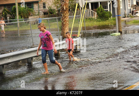 Elfers, Stati Uniti. Xiii Sep, 2017. 13 settembre 2017- elfers, Florida, Stati Uniti - i bambini a piedi in una strada che ha allagato con acqua dal fiume anclote in elfers, Florida il 13 settembre 2017. Il fiume è salito a quattro piedi sopra alluvione in fase dopo il passaggio dell uragano irma. Credito: Paul Hennessy/alamy live news Foto Stock